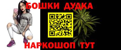 крисы Ливны