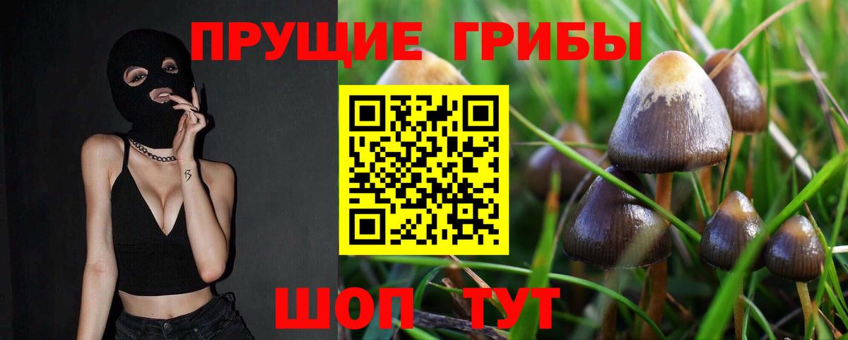 Галлюциногенные грибы мухоморы  Вход с VPN  Татарск 